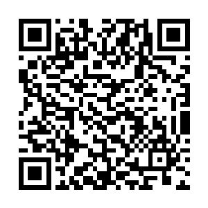 可是下一刻这两根黑色长刺却依旧打破了他们的防御二维码生成