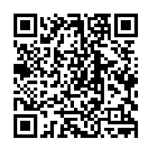 可是两人都不约而同的以为爷爷一定会用在自己身上二维码生成