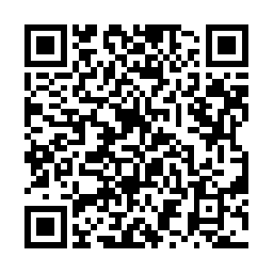 可是从秦方这里侦查的结果显示……这只是表象而已二维码生成