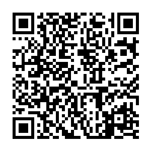 可是他们呢根本就没有来得及享受这个筹码带给他们的利益和享受二维码生成