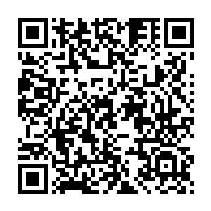 可是你现在变成这个样子了……你让我怎么能不杀那么些无辜的人二维码生成