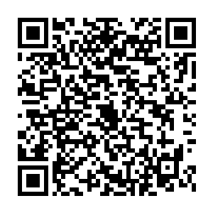 可是你相信我真的是要趁这个机会让你在人前坐实天命神授的身份二维码生成