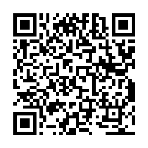 可是你能体谅我吗……我不能看着他们就这样幸福地过下去二维码生成
