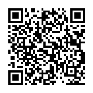 可是你要记得当年是谁把上大学的机会让给了你……是你哥二维码生成