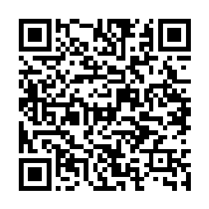 可是依旧沒有办法撼动龙神不灭这种龙族天赋神通二维码生成