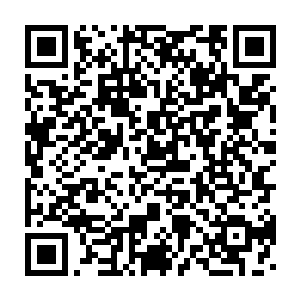 可是却觉得他们的力量劈在杨晨的身上的时候如同是劈在了棉花上一样二维码生成