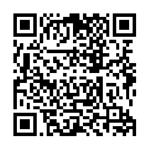 可是只有老板娘是美人……老大你也要给我们留条活路啊二维码生成