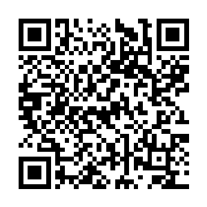可是叶凡他们根本没有心思去欣赏这座城市的美景二维码生成
