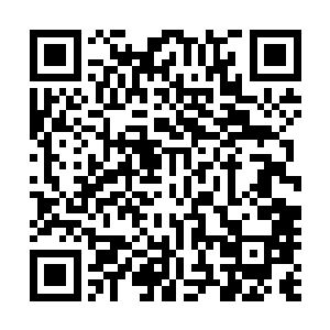 可是周鹤听到这些嚷嚷的家族子弟却是忍不住一阵皱眉摇头二维码生成