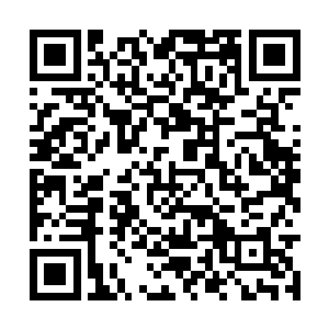 可是和便宜娘亲曾经共处过很长一段岁月的老人家二维码生成