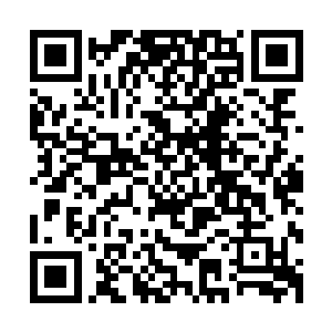 可是在跟始母虫利用永恒之塔里的灵魂攻击跟离天界主对战时二维码生成