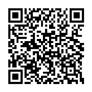 可是夏天接下来说的几乎和龙族记载的一模一样二维码生成