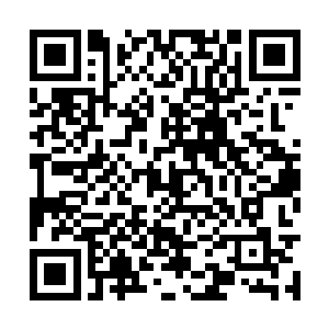 可是她那凄厉的惨叫声仍旧敲击在白家众人的心口二维码生成