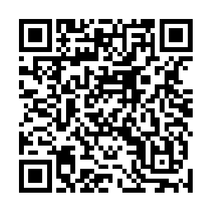 可是如今却被一个人类的小子如此轻松的说出了一个方法二维码生成