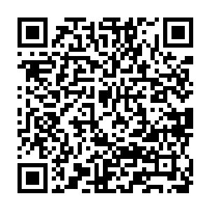 可是如此恶劣的政治生态环境让司南下心里渐渐的感到如果再不采取一点措施二维码生成