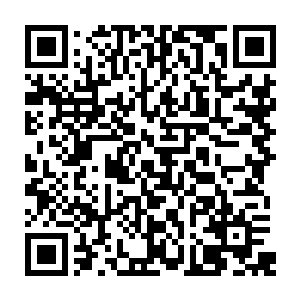 可是它没有料到刚才那五百余块一动也不动的大石头突然整齐地从地上蹦了起来二维码生成