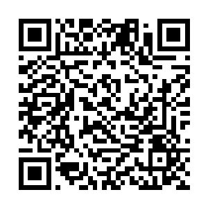 可是对于身为机械族传人的他而言却无疑是无价之宝二维码生成