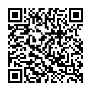 可是就算是这样最后还是出现了几起令人无法理解的死亡事件二维码生成