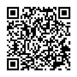 可是就连系统都公认的宇宙中最巅峰的血统之一二维码生成