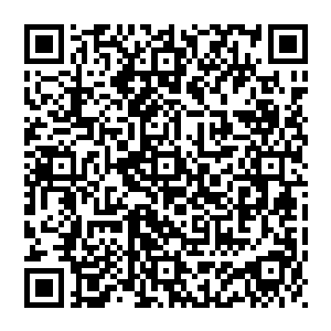 可是当察东的部队全部进入埋伏圈后情况立刻发生了变化四周枪声四起子弹组成了密集的弹雨笼罩住了察东的部队二维码生成