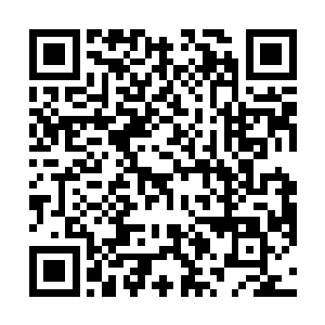 可是当朱父说到朱平安采的野花在镇上卖了一百多文钱二维码生成