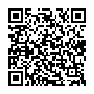 可是当目光对上殿门外那堆成小山一样的尸体时二维码生成