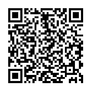 可是想到自己和流墨墨的实力差距还是撅着嘴认命的往后退去二维码生成