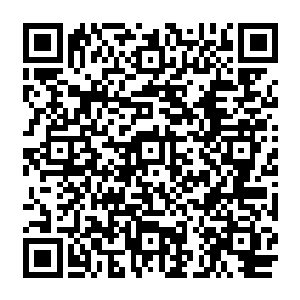 可是打了好一会儿却发现吴虎臣这个坏蛋居然一动不动地任由着自己的双拳在他的胸口捶打二维码生成