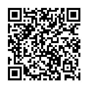 可是托姆勒怎么会知道是我们在巴西和钢铁圣母打了一仗二维码生成