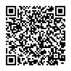 可是梓箐除了发现回门秘密以及获得养气决外对剧情发展并没有起到根本逆转二维码生成