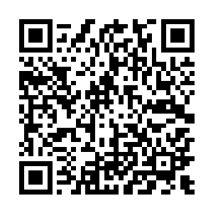 可是检查时发现两处资料数据错误和一处疑似常识错误二维码生成