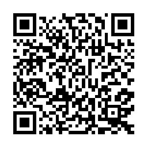 可是没等他们反映过来就发现龙傲天再一次朝着他们攻了过来二维码生成