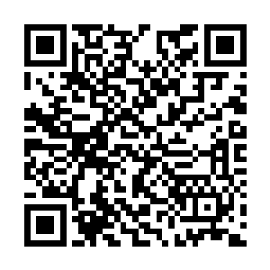 可是现在他被我这个小小的界主当面diss和羞辱了二维码生成