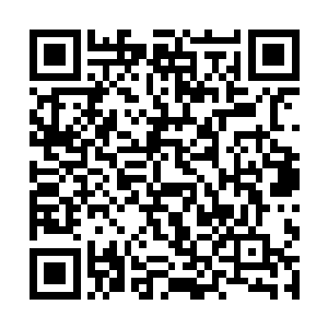 可是现在倒转瞳术居然被不知名的蓝色海洋给挡住了二维码生成