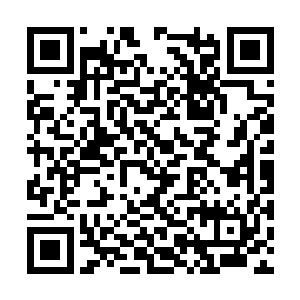 可是现在在夏天的眼中就仿佛真的是一只蝼蚁一样二维码生成