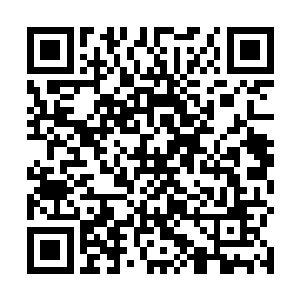 可是现在对方竟然在自己的眼皮底下抢走了他们的东西二维码生成