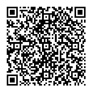 可是现在看着当年被自己追杀的狼狈不堪的许德拉竟然摇身一变变成了如此高贵而且实力深不可测的神龙二维码生成