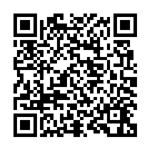可是现在这家伙竟然完全都不把眼前的这些天材地宝放在眼里二维码生成