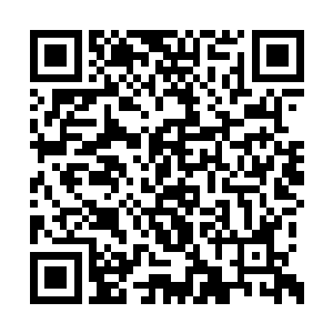 可是现在黄轩竟然一副以杨戬为马首是瞻的样子二维码生成