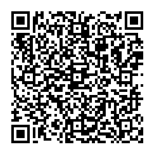 可是看上去只是悬浮在石室中间的碧玉婴灵在流墨墨抱着试图取走的瞬间那层覆盖在上面的银网顿时泛起一圈银芒二维码生成