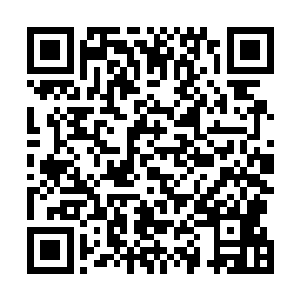可是真真正正的在苍穹宝塔残酷的环境里呆上一年时间啊二维码生成