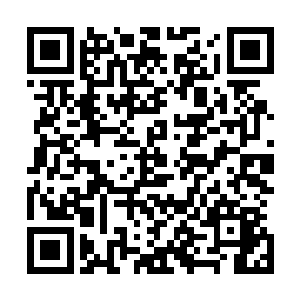 可是竟然有这么多人冒着顶撞我的危险为左飞求情实话实说二维码生成