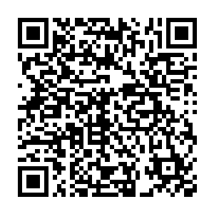 可是谁能想到被捆绑在柴房里的店老板他们也是杀手组织的成员呢二维码生成