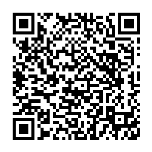 可是这一次在龙傲天的特殊的空间中血衣老者竟然直接以自己的生命为引二维码生成