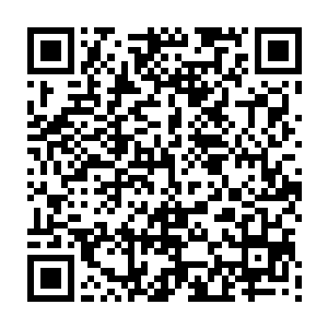 可是这三家里面拣宝商城和火鸡软件那不算是洪大力的这个公司的基础产业二维码生成