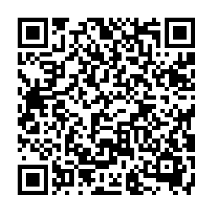 可是这船舱里面被宰杀的却是一个个活生生的人……那场面实在是太血腥了二维码生成