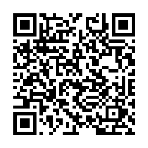 可最终却还是付出了他和风时两人的生命作为代价二维码生成