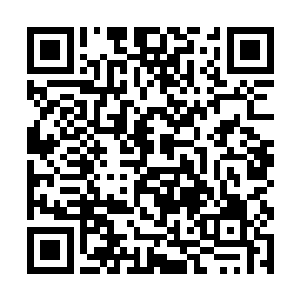 可杨琳偏偏最喜欢听袁天罡和老龟说泡妞之类的话题二维码生成