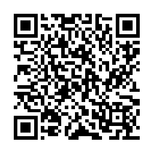 可根据眼前这个家伙交给自己的这些资料又实实在在的显示二维码生成