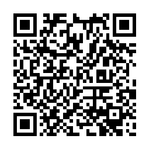 可此时众多红袍会成员都是瞠目结舌的看着洪蒙二维码生成
